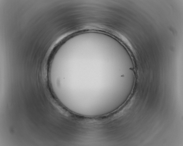 X0000115550931200911061124