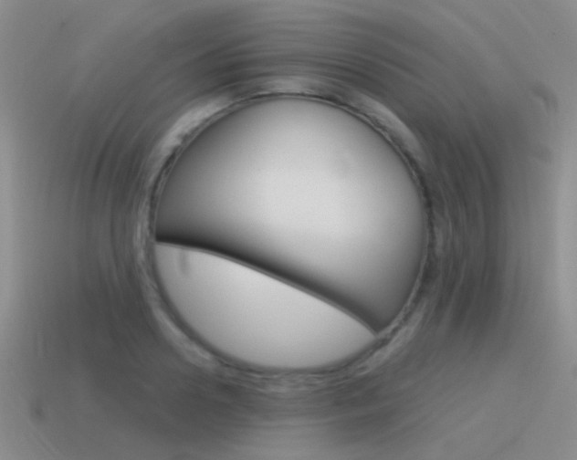 X0000115550938200911061124