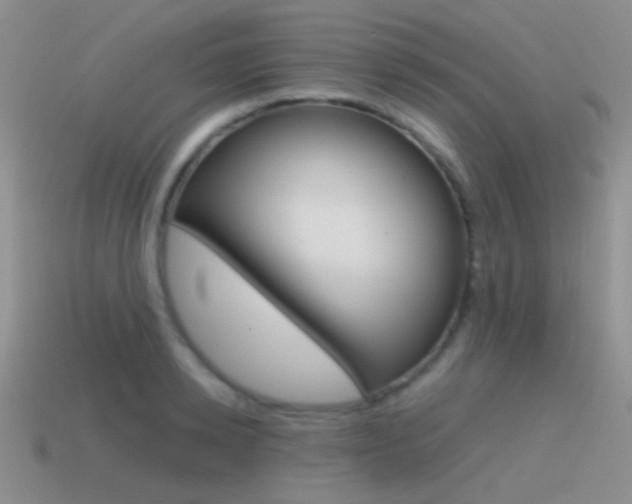 X0000115550942200911061124