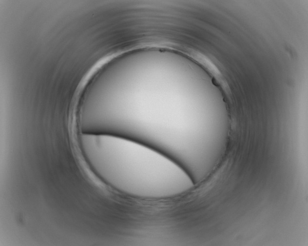 X0000115550947200911061124