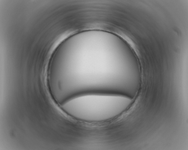 X0000115550949200911061124