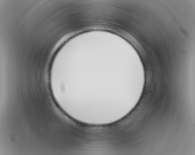 X0000115550950200911061124