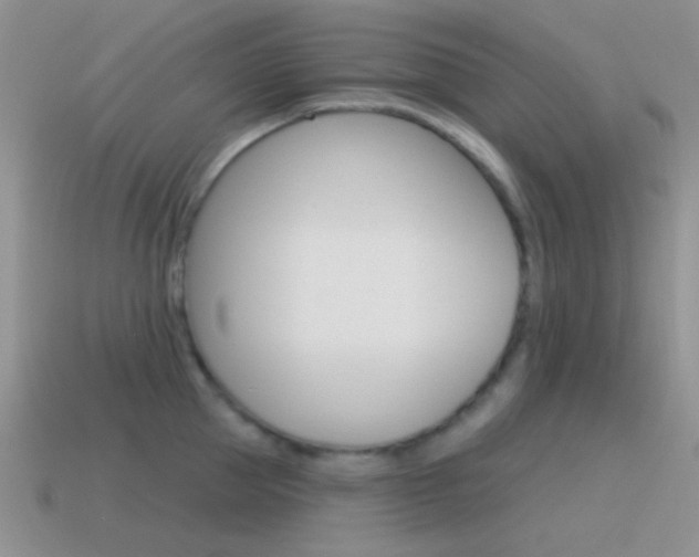 X0000115550953200911061124