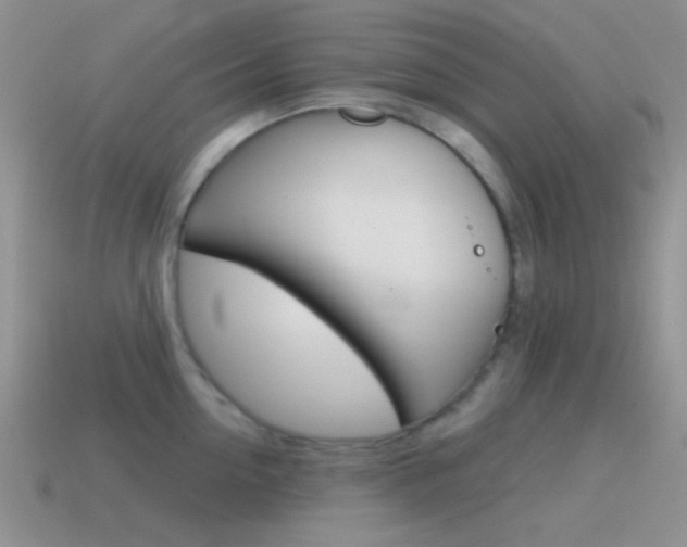 X0000115550954200911061124