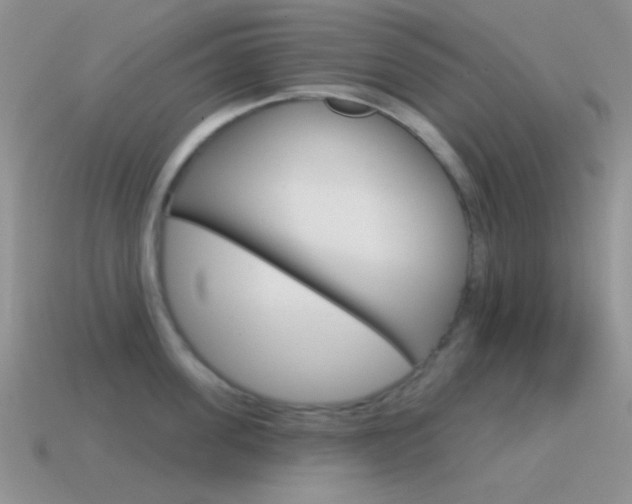 X0000115550955200911061124