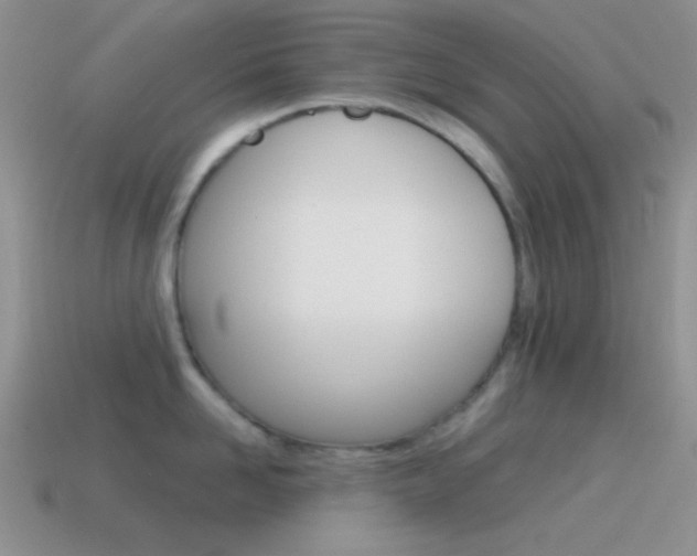 X0000115550958200911061124
