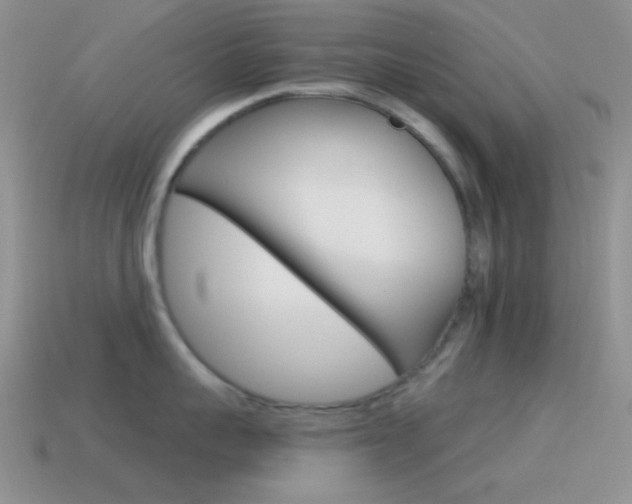 X0000115550959200911061124