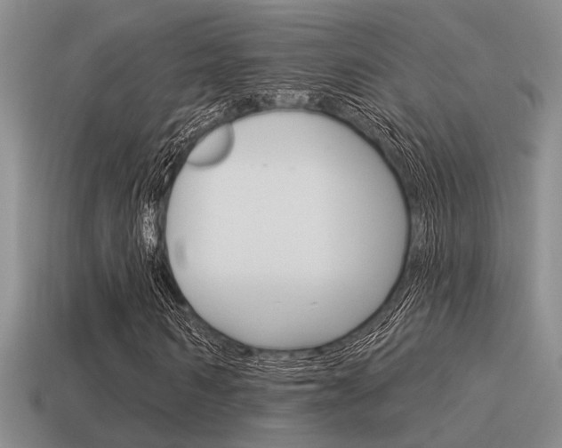 X0000115550962200911061124