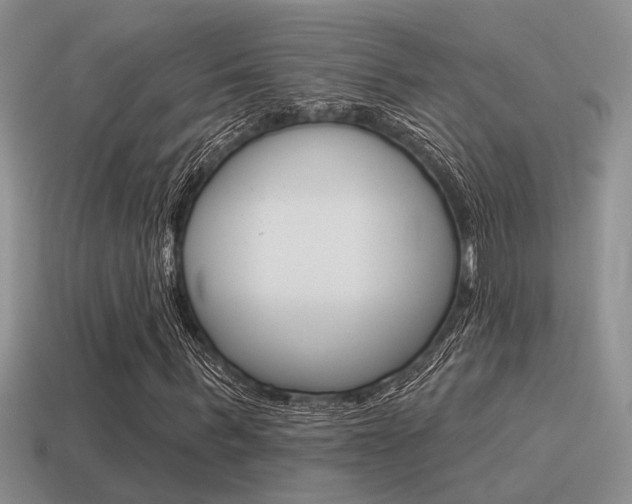 X0000115550963200911061124