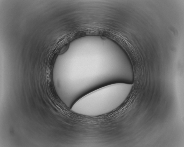 X0000115550964200911061124
