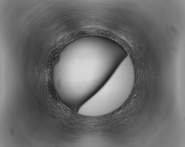X0000115550965200911061124