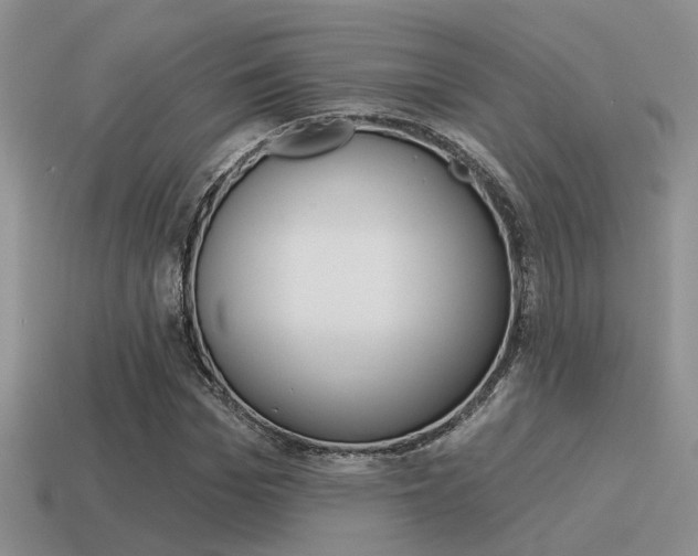 X0000115550969200911061123