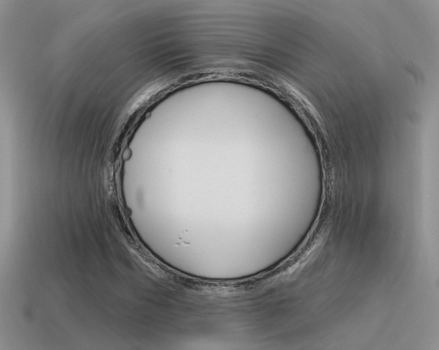 X0000115550970200911061123