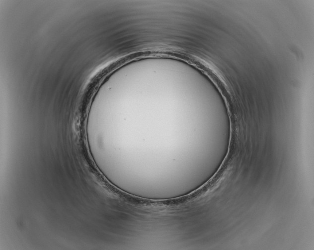 X0000115550971200911061123