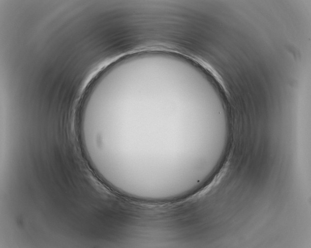 X0000115550973200911061123