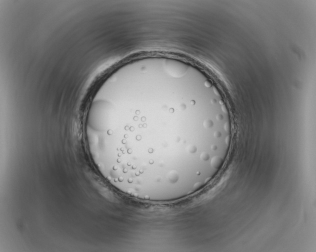 X0000115550974200911061123