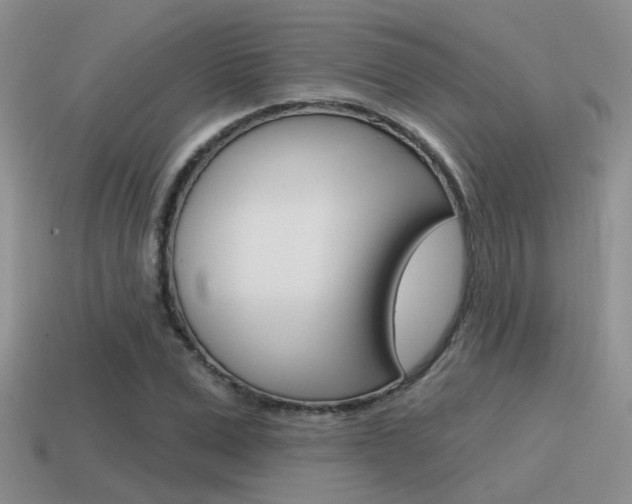 X0000115550975200911061123