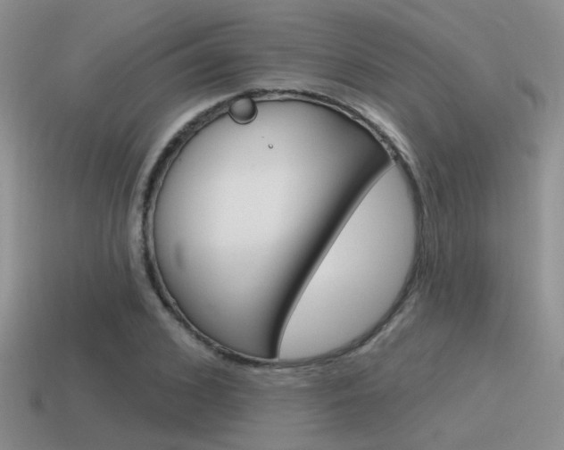 X0000115550976200911061123