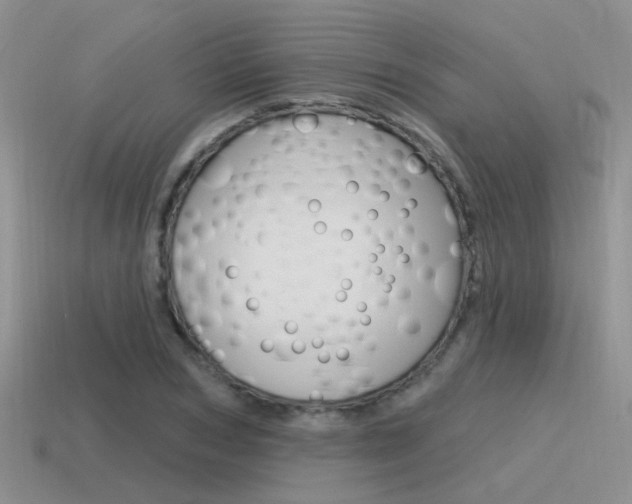 X0000115550978200911061123