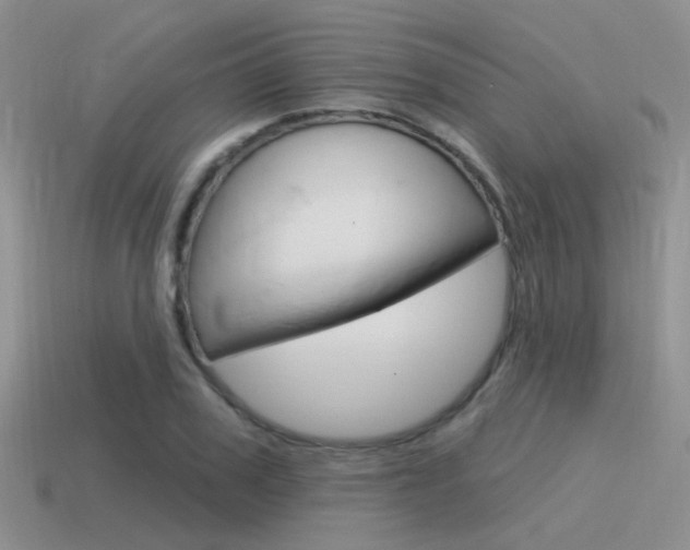 X0000115550979200911061123