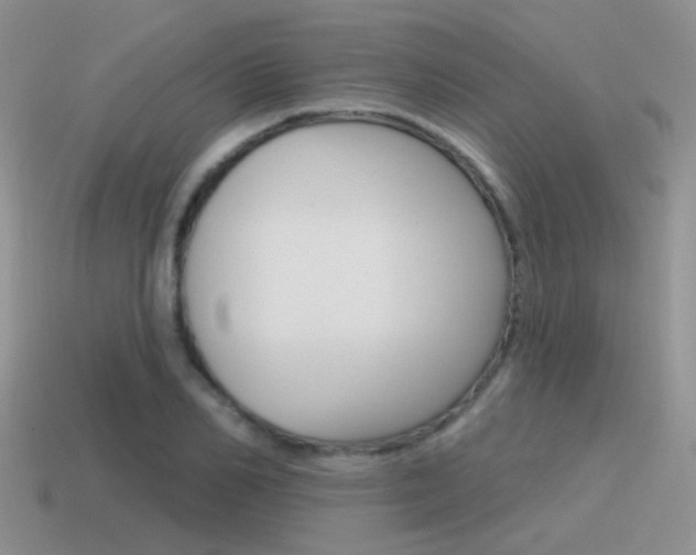 X0000115550982200911061123