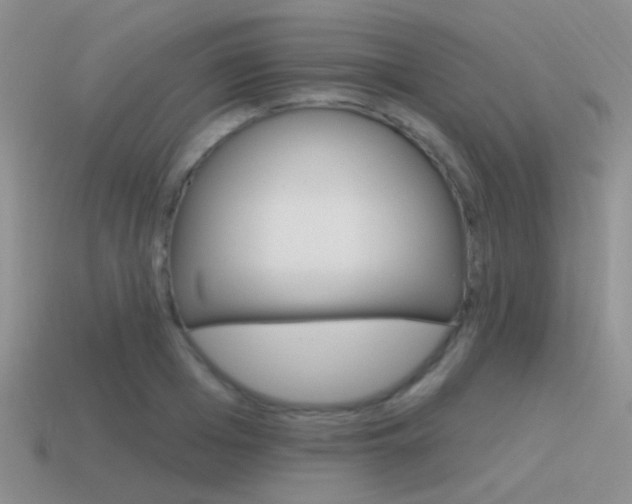 X0000115550985200911061123