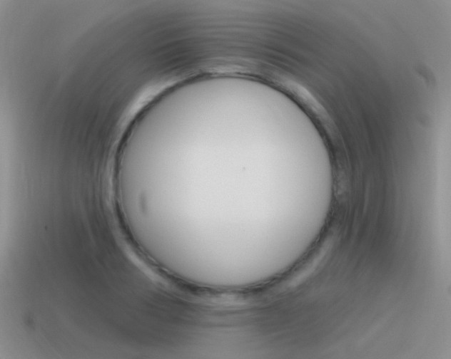 X0000115550986200911061123