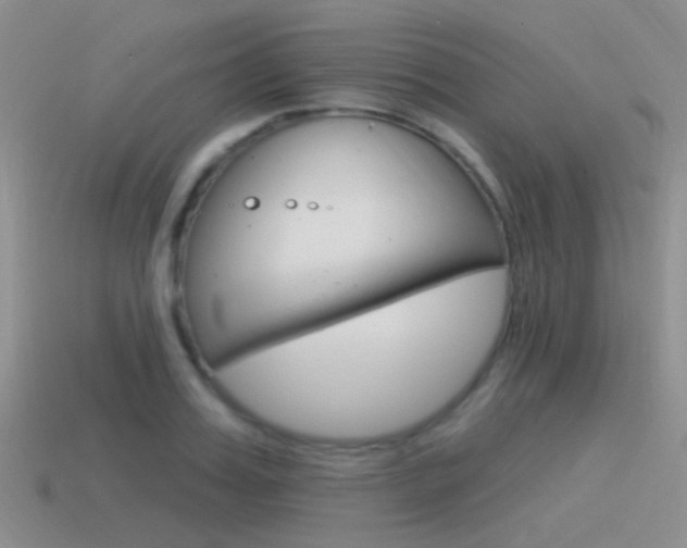 X0000115550987200911061123