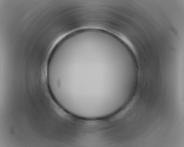 X0000115550988200911061123