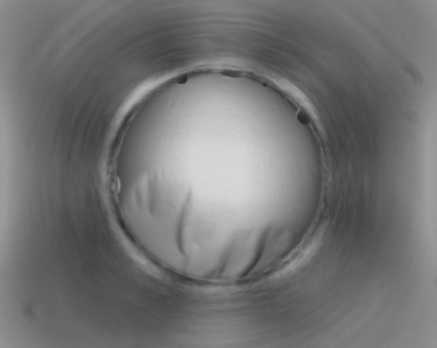X0000115550989200911061123