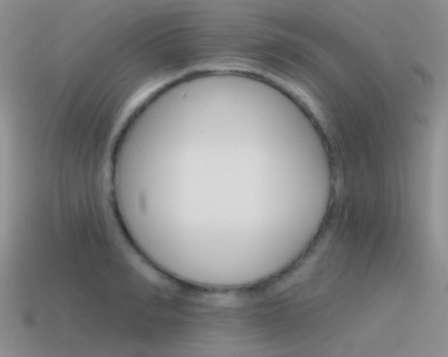 X0000115550990200911061123