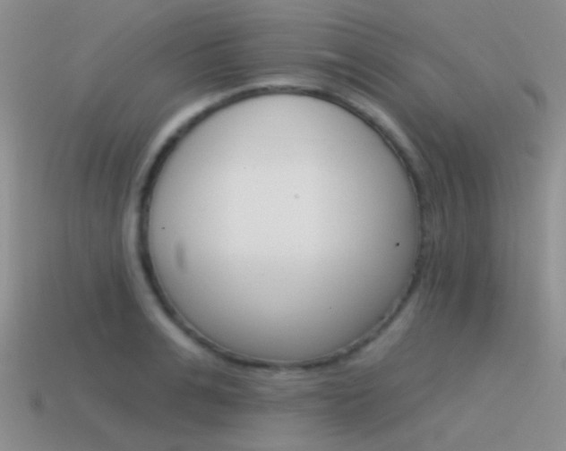 X0000115550991200911061123