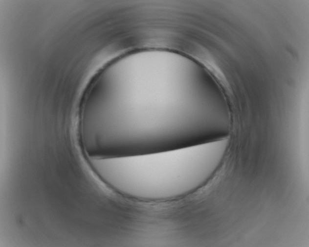 X0000115550992200911061123