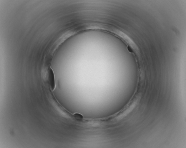 X0000115550993200911061123