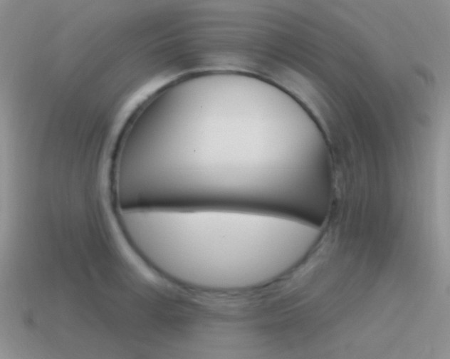 X0000115550995200911061123