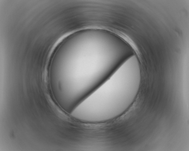 X0000115550996200911061123