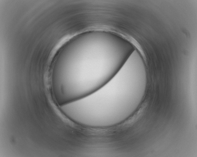 X0000115550997200911061123