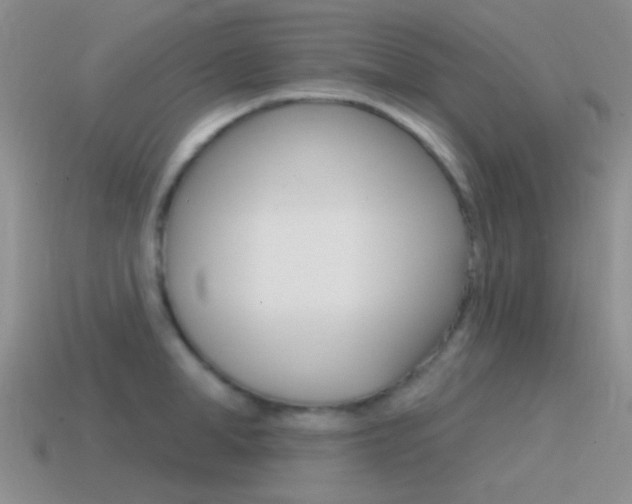 X0000115550998200911061123