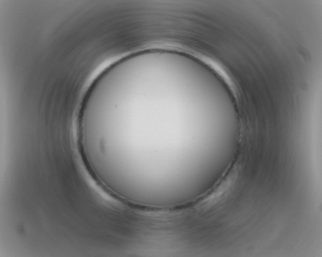 X0000115550999200911061123