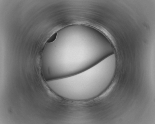 X0000115551001200911061123