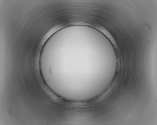 X0000115551002200911061123