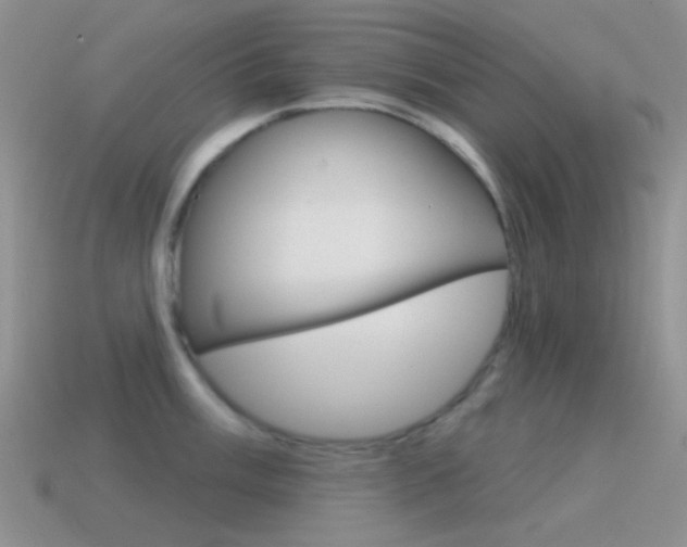 X0000115551003200911061123