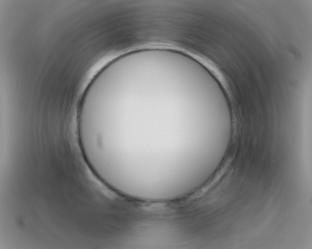 X0000115551006200911061123