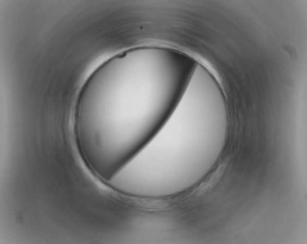 X0000115551007200911061123