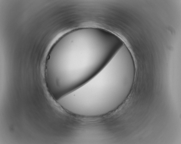 X0000115551008200911061123