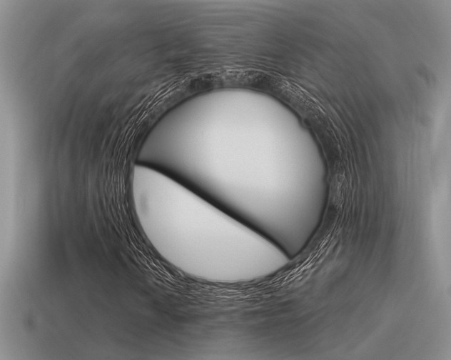 X0000115551010200911061122