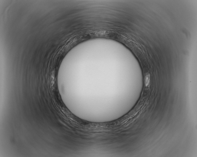 X0000115551011200911061122