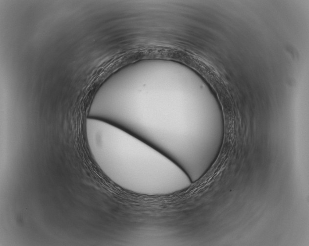 X0000115551013200911061122