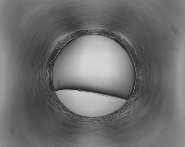 X0000115551016200911061122