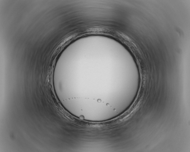 X0000115551017200911061122